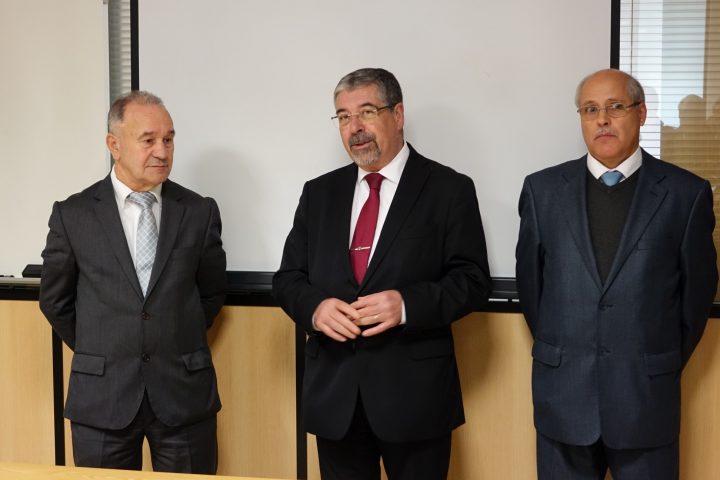 sede antral 76 Custom